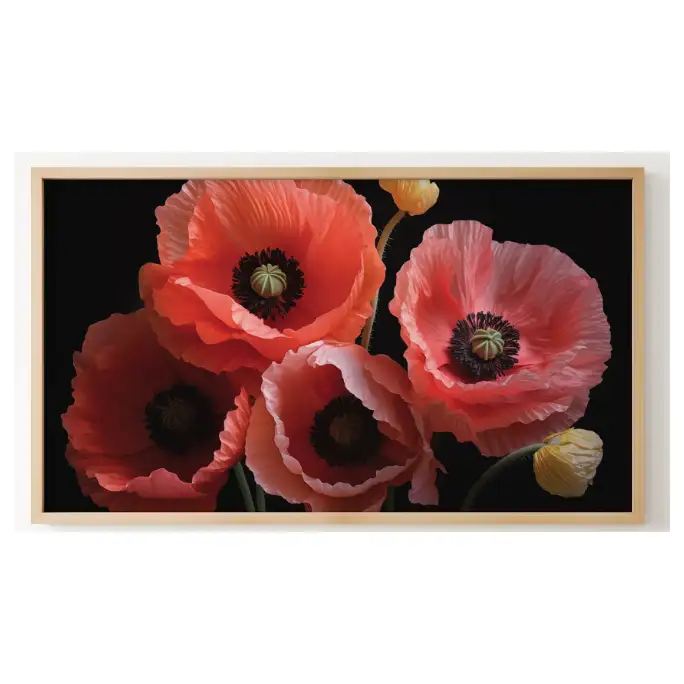 Quadro Decorativo N°176 - Panorâmico - Flores Papoulas Coral - Galix