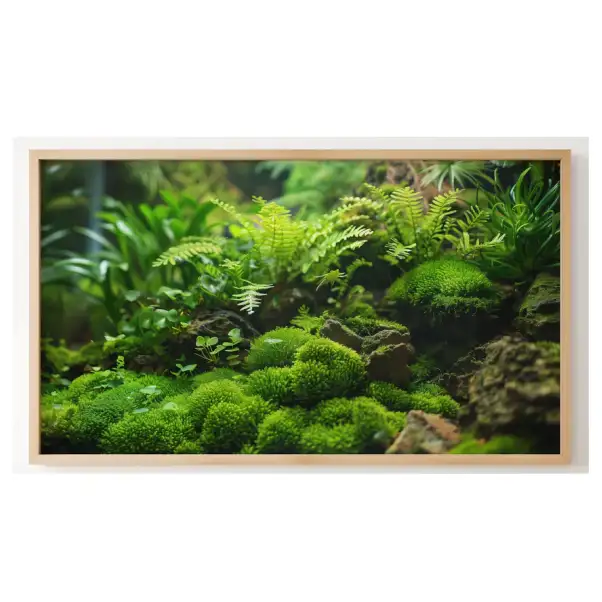 Quadro Decorativo N°153 - Panorâmico Botânico - Samambaias - Galix