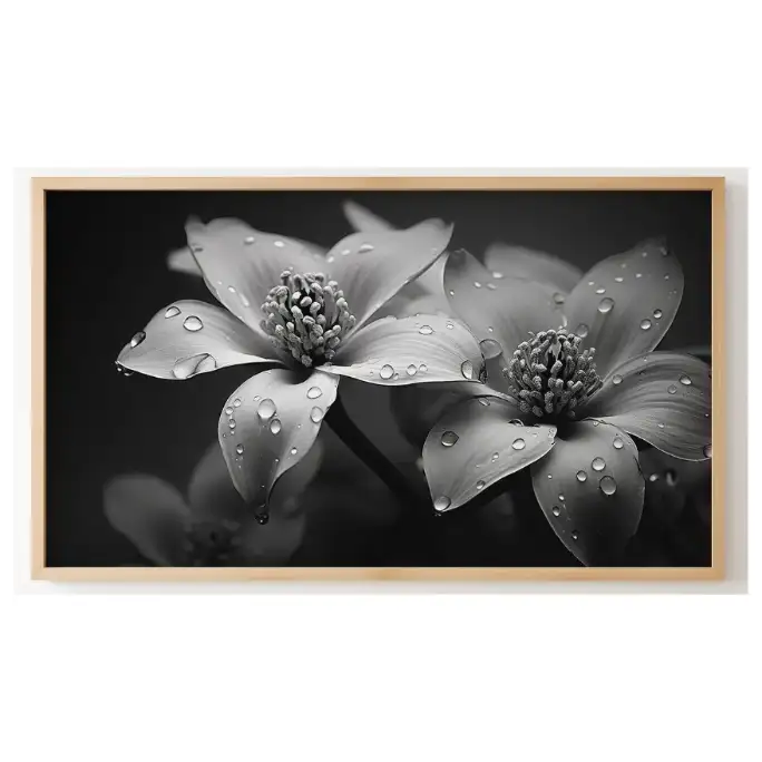 Quadro Decorativo N°175 - Panorâmico - Flores e Gotas Orvalho - Galix