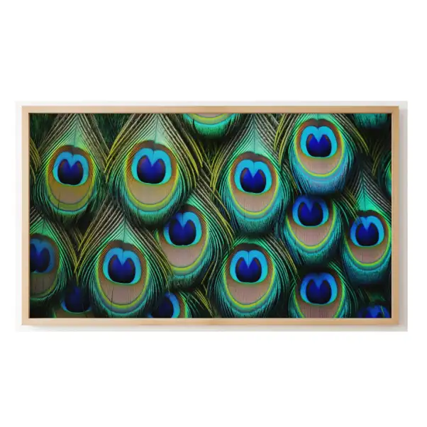 Quadro Decorativo N°150 - Panorâmico Abstrato - Penas de Pavão - Galix