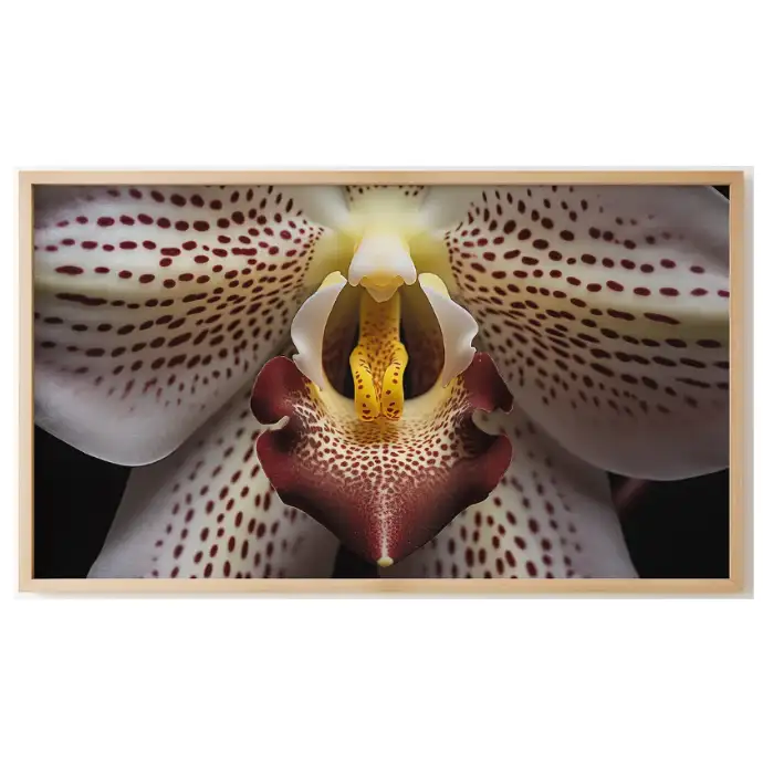 Quadro Decorativo N°133 - Panorâmico Botânico - Orquídea Macro - Galix