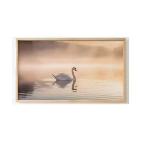 Quadro Decorativo N°48 - Panorâmico Cisne Névoa Alvorada - Galix
