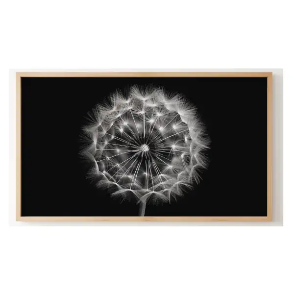 Quadro Decorativo N°155 - Panorâmico - Dente de Leão - Galix