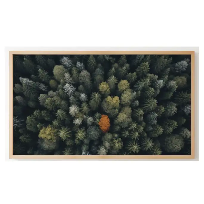 Quadro Decorativo N°148 - Panorâmico - Aérea Árvore - Galix